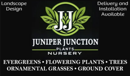 Juniper Junction
